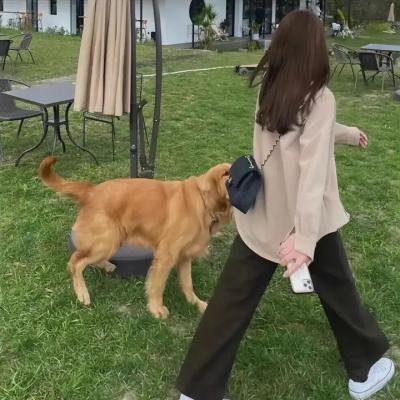 想好再结婚